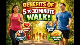 Harvard Scientists Reveal Why Short Walks Beat Long Workouts