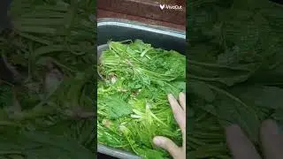 ١٤ يناير ٢٠٢٦