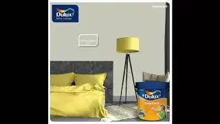 ICI Dulux Paints, Discovery Paint Store