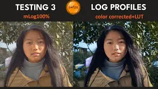 Color Correcting 3 Log Profiles | mcpro24fps Tutorial