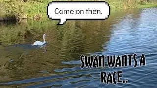 Narrowboating the Weaver navigation.#253