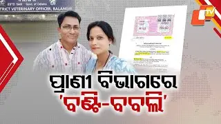 Major scam in Animal Resources Dept: 420 couples accused of looting subsidy funds in Balangir