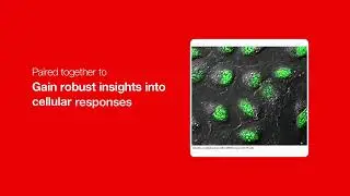 Enhanced Imaging Solutions for Brighter, Sharper Results