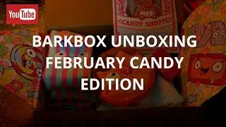 BarkBox - Unboxing February 2019 
