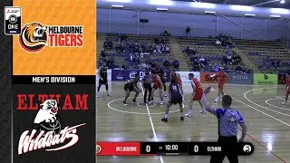 NBL1 Men | Melbourne Tigers vs. Eltham Wildcats - Game Highlights