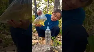 Survival skills: SMART idea and USEFUL in forest #camping #survival #bushcraft #outdoors