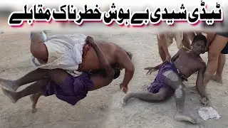 ٹیڈی شیدی بے ہوش خطرناک مقابلے | Teddy Sheedi Wanted Fighting Game Malakhra | Latif TV HD