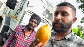 NON STOP MANDI PAPAYA EXPRESS👍