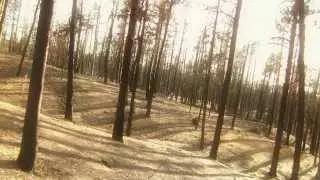 Tom Day: Echoes (non-official) music video