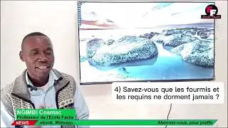Nouvelle rubrique : le saviez vous avec prof  NGIMBI COSMAC