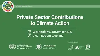 Private Sector Contributions to Climate Action
