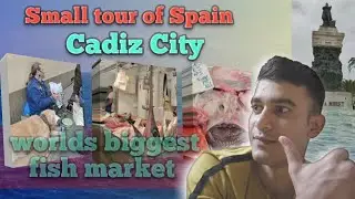 Spain Cadiz city mini tour ||  biggest 🐟 fish markets  😲 