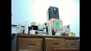I'm In Love With This Little Keychain Camera (Shot On Kodak Charmera)
