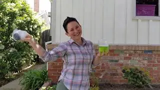 Creative Kids at Home: Bubbles