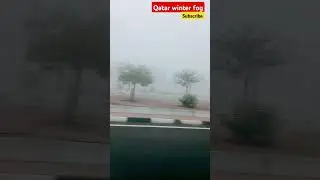 #qatarwinter fog#morningtime#yaad yaad bus yaad🔥🔥💯💕 song#bpraak#shortsvideo#viral#trending🔥🔥🔥💕❤️💖💖🙏🌹