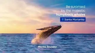 NEW DESTINATION! Manta, Ecuador
