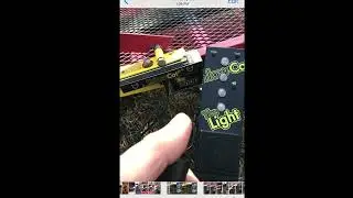 Configuring your YellowCat BMX light to your System.