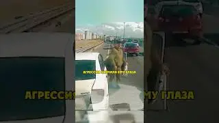 Дальнобой Наказал Обочечника