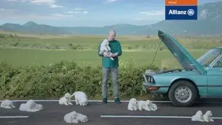 Allianz Direct - Skip Puppies