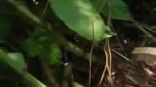 YouTube- LOST AT BAYONNE PARK  (HELP!!!!).mp4