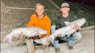 Bowfishing for Big CATFISH!! {awesome experience!}