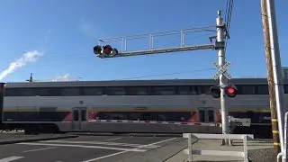 Amtrak California CDTX 2011 #703 San Joaquin North, Gerber Rd. Railroad Crossing, Sacramento CA