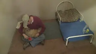 Boarding at the Canine Country Club