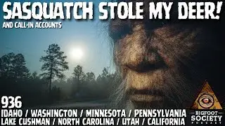We Hit It With Our Car! | Pennsylvania | Bigfoot Society 936