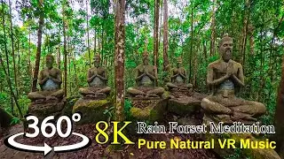 360&deg; VR Rainforest Meditation | Hidden Buddha in Sinharaja | Deep Forest Ambience (Use Headphones)