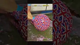 Hydro Dipping: The Ultimate Showdown