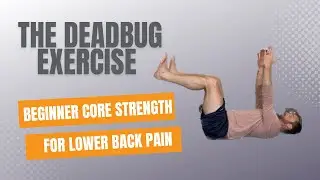 Dead Bug Exercise For Beginners | Positioning, Progressions, and Common Mistakes