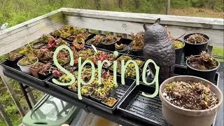 SPRING HAS SPRUNG (oh yeah hi)