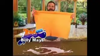 zorbees attracts bees (YTP)