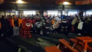 Lion Dance by Lung Ying Dragon Style UK | 2026 | Chinatown London