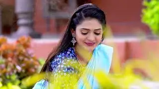 Inti Guttu - Ep 206 - Rohit Rangaswamy And Nisarga Gowda - Telugu Tv Serial - Zee5 Telugu Classics