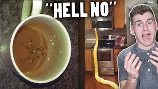 This Video Will Make You Scream 