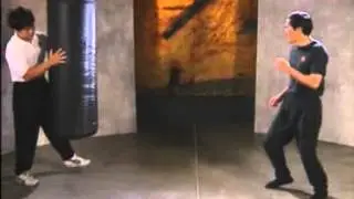 Bruce Lee Fighting Method Basic Training And Self Defense