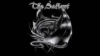 The Salient - Black Diamond (Stratovarius cover)