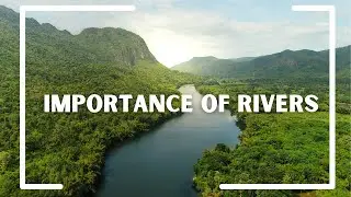Save River | Why River Is Important |Documentary | The Nature