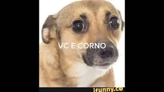 SHITPOST COMPILADO