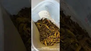 Why is Coptis chinensis so bitter? #authentic