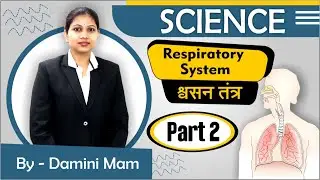 Respiratory System | श्वसन तंत्र | Respiration In Human | Part- 2 | Science(Biology) By Damini Ma'am