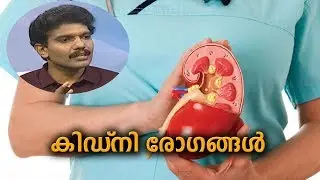 Dr Q : കിഡ്‌നി രോഗങ്ങള്‍ - അറിയേണ്ടതെല്ലാം | World Kidney Day 2019 | 14th March 2019