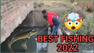 Best fishing video 2022 || Amezing Boys fishing || new cooking videos in hindi || village fishing