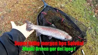 Munkiorm testes i S&oslash;lvdal her t&aelig;t p&aring; s&aelig;son&aring;bning 💪