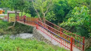 Girl CEO Left City to Live in Forest, Build a Bridge Over Stream after a Big Flood