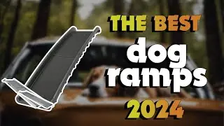 The Best Dog Ramps 2024 in 2024 - Must Watch Before Buying!
