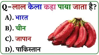 GK Questions || GK in Hindi || General Knowledge Questions and Answers || Gk Quiz || Gk ke Questions