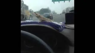 Driving with my bearded dragon part 1