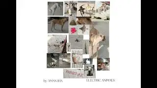 Electric Animals